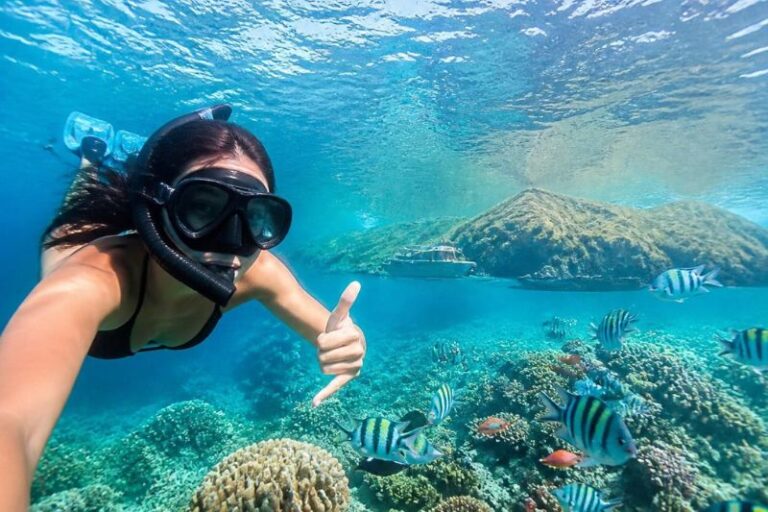 Manta Point Labuan Bajo: Snorkeling in the Komodo Marine World